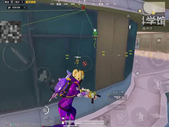 和平精英《北极熊》辅助